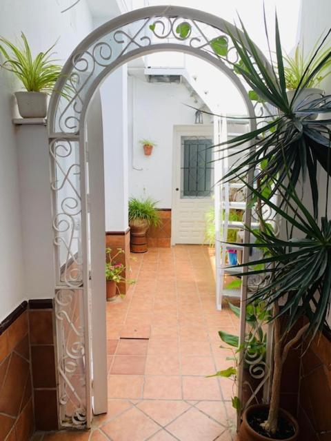 Apartment 200m De La Playa Conil De La Frontera
